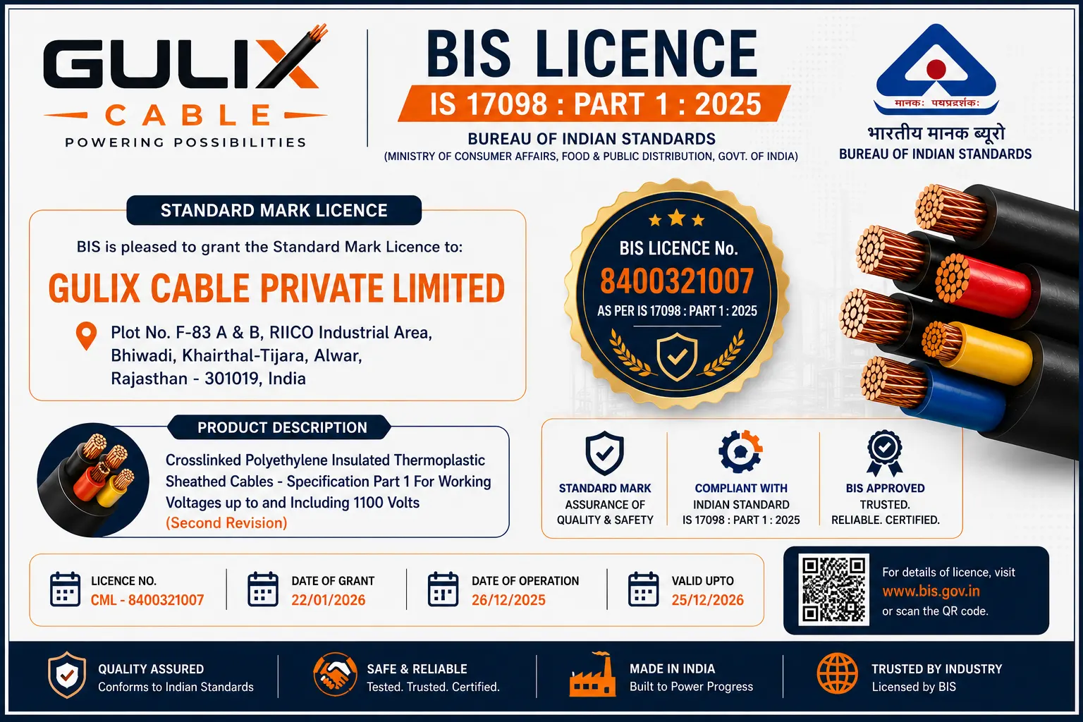BIS S17098 PART1 2025 CML 8400321007